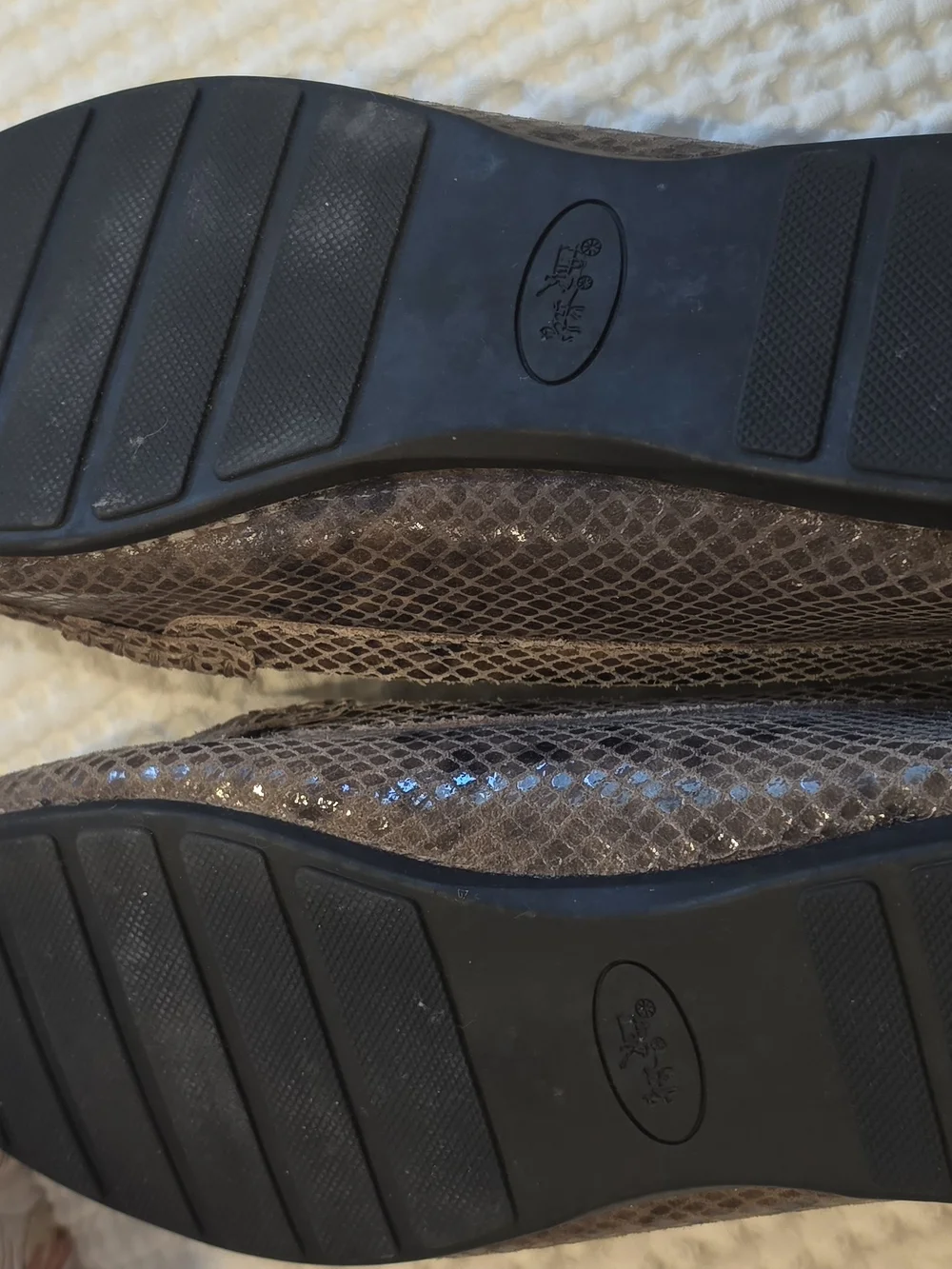 Coach Taupe Snake-Embossed Loafers with Metal Bit